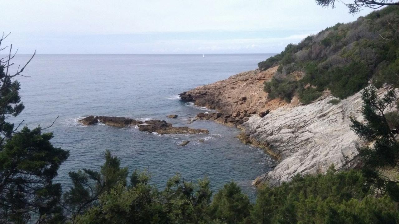 Готель Casa San Giuseppe - Isola D'Elba Каво Екстер'єр фото